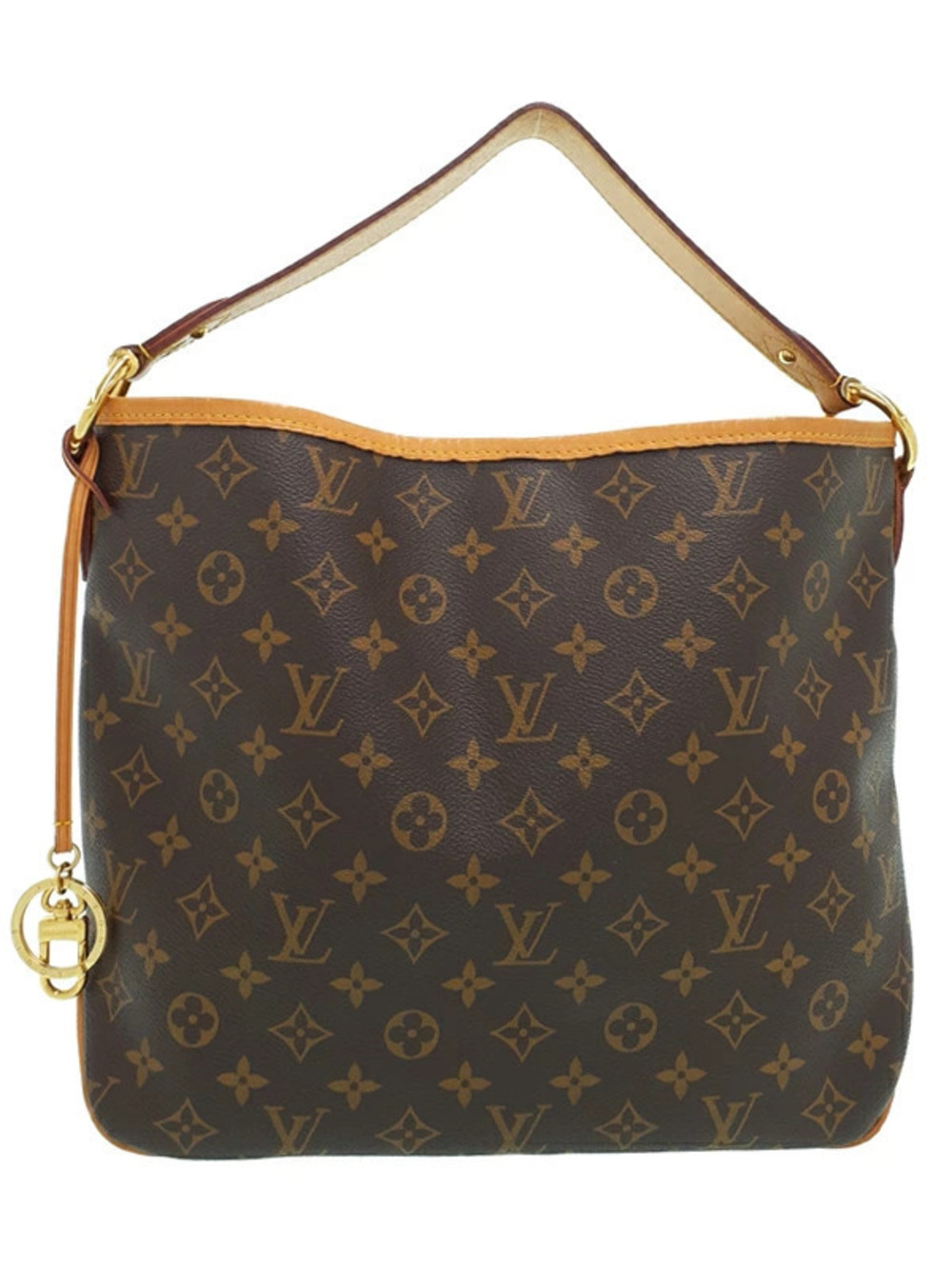 Louis Vuitton Monogram Delightful Hobo Bag